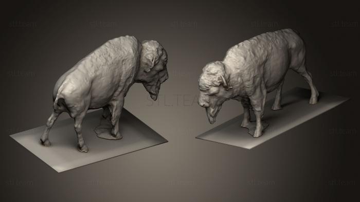 3D модель Статуя буйвола (STL)